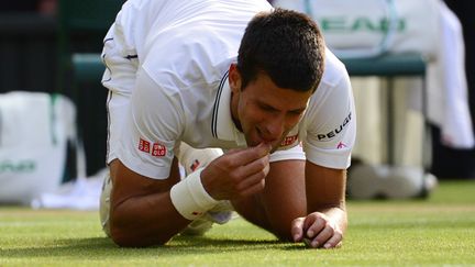 Djokovic mange l'herbe de Wimbledon (CARL COURT / AFP)