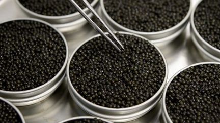 Boîtes de caviar (FABRICE COFFRINI / AFP)