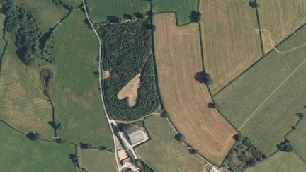 Apr&egrave;s la mort de sa femme,&nbsp;Winston Howes&nbsp;a pass&eacute; une semaine &agrave; planter de jeunes ch&ecirc;nes sur une parcelle de 2,5 hectares. (GOOGLE MAPS )