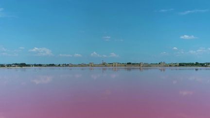 Les&nbsp;Salins d'Aigues-Mortes, dans le Gard. (CAPTURE ECRAN FRANCE 2)