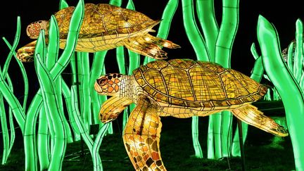 Les tortues lumineuses du Jardin des Plantes (BERTRAND GUAY / AFP)