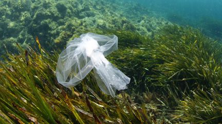 Méditerranée : la mer des plastiques