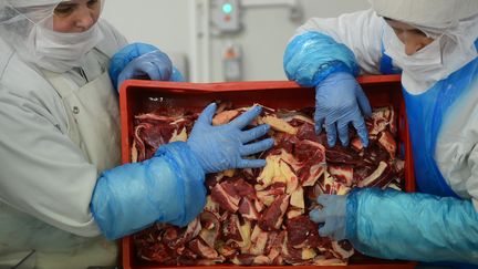 Des employ&eacute;s travaillent la viande de b&oelig;uf dans l'abattoir&nbsp;Doly-Com, &agrave; Roma (Roumanie), le 12 f&eacute;vrier 2013.&nbsp; (DANIEL MIHAILESCU / AFP)