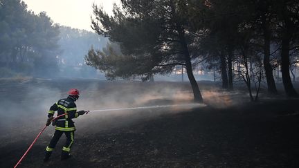 Un pompier&nbsp;travaille à éteindre un feu qui s'est déclaré le 24 août 2020, près de Martigues, dans les Bouches-du-Rhône. (CHRISTOPHE SIMON / AFP)