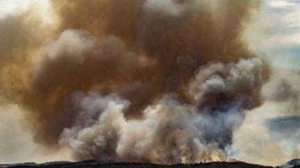 Incendie : les flammes ravagent 130 hectares dans l'Aude