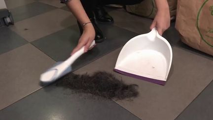 Environnement : une collecte de cheveux pour lutter contre la pollution