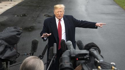 Le président américain Donald Trump avant son départ pour Paris, à Washington (Etats-Unis), le 9 novembre 2018. (RON SACHS / AFP)