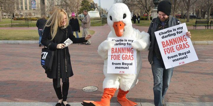 L'association de défense des animaux PETA a manifesté à proximité de la Maison-Blanche pour remercier le prince Charles d'avoir décidé de supprimer le foie gras des menus royaux. (AFP PHOTO/MANDEL NGAN)