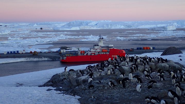 L'"Astrolabe", le navire polaire des Terres australes et antarctiques françaises (TAAF), en  2018. (SERGE BEGON / IPEV)