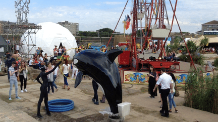 Cette installation d&eacute;nonce avec ironie la situation des animaux dans les parcs aquatiques, d&eacute;j&agrave; au c&oelig;ur du documentaire "Blackfish" en 2013. ( STEVE BEALING / LANDM / NEWSCOM / SIPA)