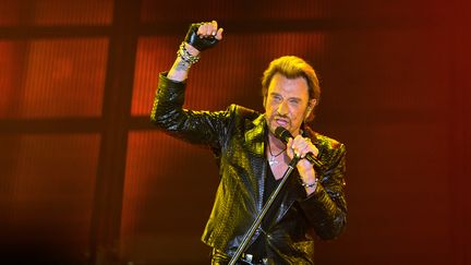 Johnny Hallyday&nbsp;sur scène, le 2 juin 2013 à Bordeaux (Gironde). (NICOLAS TUCAT / AFP)