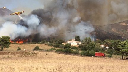 Incendie en Corse. (DR)