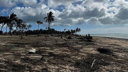 Une plage de Tongatapu,&nbsp;l'île principale des Tonga,&nbsp;ravagée par un tsunami, le 15 janvier 2022. (HANDOUT / COURTESY OF VILIAMI UASIKE LATU via AFP)