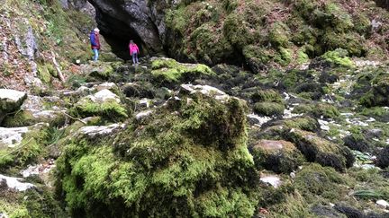 Après plusieurs mois de sécheresse, la source de Doubs, dans la commune de Mouthe, ne coule plus, le 24 octobre 2018. (GRÉGOIRE LACALOT / FRANCE-INFO)