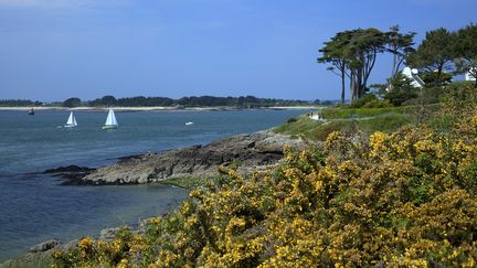 Le golfe du Morbihan, o&ugrave; Jean-Marc Ayrault passera ses vacances. (AFP)