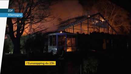 Incendie dans un zoo en Allemagne (FRANCEINFO)