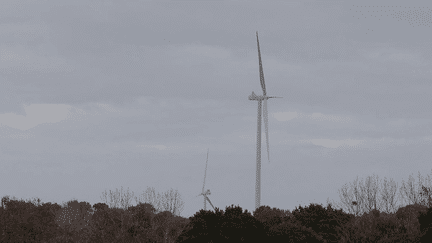 Éoliennes : polémique autour d’un chantier en Bretagne