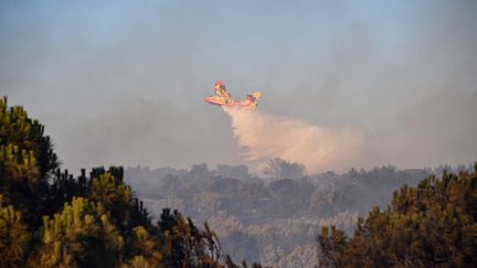 Un Canadair au dessus de Generac (Gard), le 2 août 2019. (PASCAL GUYOT / AFP)