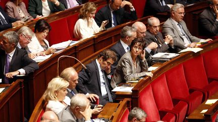  (Le groupe UMP à l'Assemblée a prêté une partie de sa dotation pour renflouer les caisses de l'UMP © Maxppp)