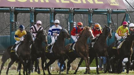 Le champ de courses de Compiègne (mars 2009) (AFP / Julien Barbare)