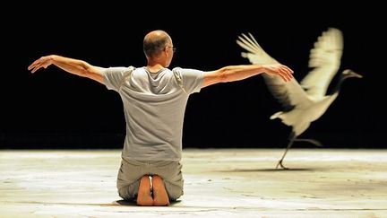 Le chorégraphe Luc Petton danse les dernières représentation de "Light Bird" avec ses grues de Mandchourie
 (Alain Julien)