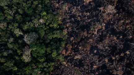 Des terres brûlées afin de faciliter le pâturage du bétail dans la forêt amazonienne près de Porto Velho (Brésil), en septembre 2019.&nbsp;Les images des incendies en Amazonie durant l'été ont fait le tour du monde et ont suscité un vif émoi dans l'opinion. (VICTOR MORIYAMA / THE NEW YORK TIMES / REA)