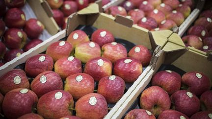  (Des pommes de supermarchés chargées en pesticides, selon Greenpeace © MAXPPP)