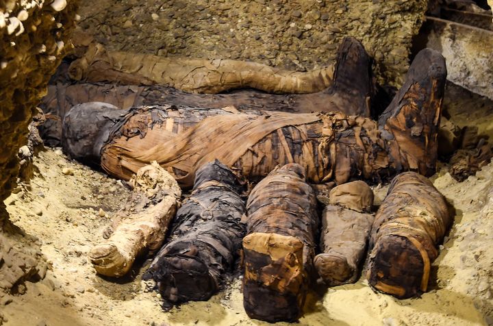 Momies de la nécropole de Touna el-Gebel (2 février 2019)
 (Mohamed El-Shahed / AFP)