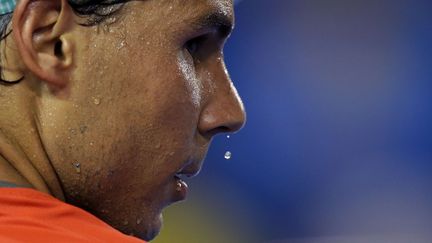 Rafael Nadal lors du premier tour de l'Open d'Australie, le 14 janvier 2014. (AARON FAVILA / AP / SIPA)