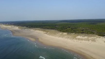 Entre la Gironde et les Landes, la Côte d'Argent abrite la plage la plus longue d'Europe. (FRANCE 2)