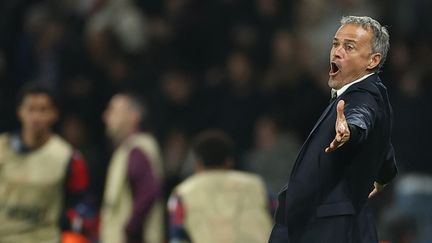 Luis Enrique, l'entraîneur du PSG, lors du match de Ligue des champions contre l'Atlético de Madrid, le 6 novembre 2024, au Parc des Princes. (FRANCK FIFE / AFP)