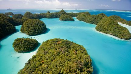 Les Iles Palaos en Micronésie vont interdire les crèmes solaires à partir de 2020 pour protéger les coraux. (MATT RAND / THE PEW CHARITABLE TRUSTS)