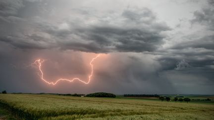 Un orage&nbsp;en France, le 20 janvier 2016. Photo d'illustration. (XAVIER DELORME / BIOSPHOTO / AFP)