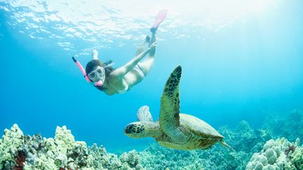 Les indispensables masque et tuba : le plaisir de profiter des beautés sous-marines. (GETTY IMAGES)