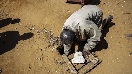 Un autre villageois, Jonarson Revoria, 73 ans, agriculteur, montre un petit bassin qu’il a creusé dans le sol pour recueillir l'eau de pluie. Mais ce celui-ci aussi est asséché depuis juillet. Le village d’Ifotaka connaît la même situation, car la dernière pluie qui remonte à mai n’a duré que deux heures.&nbsp; &nbsp; &nbsp; (RIJASOLO/AFP)