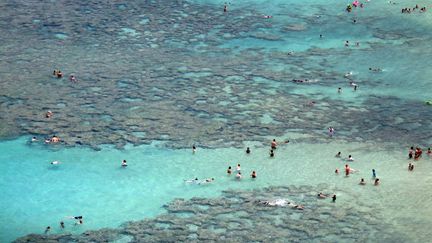 La plage&nbsp;d'Hanauma à Hawaï, en 2010.&nbsp; (PATRICK BAZ / AFP)