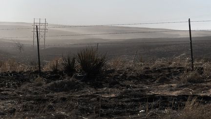 De la végétation brûlée à Stinnett (Etats-Unis), le 2 mars 2024. (SCOTT OLSON / AFP)