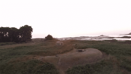 A la découverte du jardin de l'Île de Batz (Finistère). (CAPTURE D'ÉCRAN FRANCE 3)