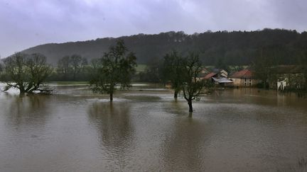 La Meuse en crue, le 05 janvier 2012, près de Domrémy (Vosges). (MAXPPP)