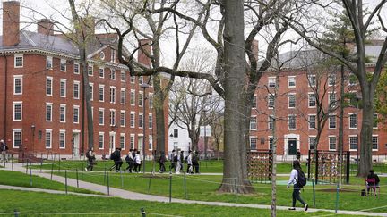 Le campus de l'université Harvard à Cambridge, dans l'Etat du Massachusetts (Etats-Unis), le 27 avril 2022. (CHARLES KRUPA / AP / SIPA)