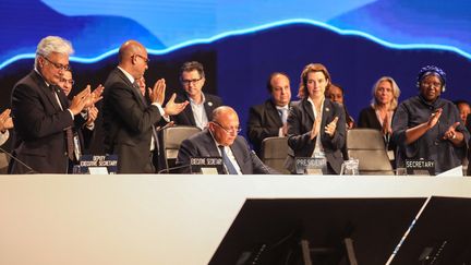 Session de clôture de la COP27 à Charm-el-Cheikh (Egypte), le dimanche 20 novembre 2022.&nbsp; (MOHAMED ABDEL HAMID / ANADOLU AGENCY / AFP)