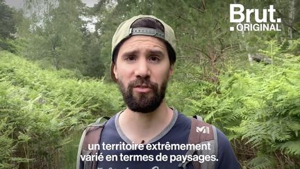 Pas besoin d'aller bien loin pour trouver une agréable randonnée. Clément de Helloways nous emmène en forêt de Fontainebleau, à 35 minutes de Paris.