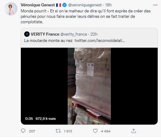Capture écran du compte Twitter de Véronique Genest, le 11 juillet 2022. (CAPTURE D'ECRAN TWITTER)