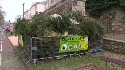 Le recyclage des sapins de Noël