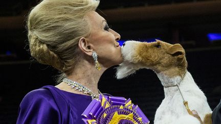 Sky, un fox-terrier &agrave; poil dur pose avec la juge&nbsp;Betty Regina Leininger apr&egrave;s avoir remport&eacute; le prestigieux concours canin du Westminster Kennel club&nbsp;&agrave; New York (Etats-Unis), le 11 f&eacute;vrier 2014. (ANDREW BURTON / GETTY IMAGES / AFP)