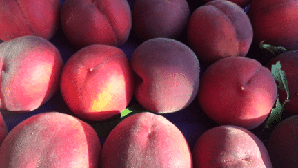 &nbsp; (Pêches et nectarines : des fruits qui vous accompagnent peut être dans ce chassé croisé du 1er août ! © Radio France)