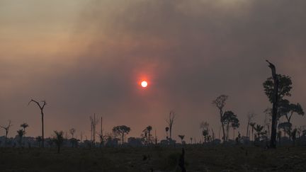 Le soleil se couche derrière un épais nuage de fumée en Amazonie, le 13 août 2020 au Brésil.&nbsp; (FERNANDO SOUZA / AGIF / AFP)