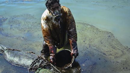 Un homme&nbsp;récupère de l'huile provenant du Wakashio qui s'est échoué le 25 juillet près du parc marin de Blue Bay au large des côtes du sud-est de l'île Maurice. (JEAN AURELIO PRUDENCE / L'EXPRESS MAURICE)