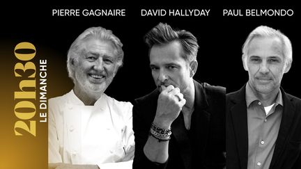 "20h30 le dimanche". Avec David Hallyday, Paul Belmondo, Pierre Gagnaire et Starmania (20H30 LE DIMANCHE / FRANCE 2)