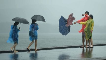 Au bord du lac de l'Ouest &agrave;&nbsp;Hangzhou, dans la province de Zhejiang en Chine, lors du passage du passage du typhon Chan-Hom, le 11 juillet 2015. (  MAXPPP)